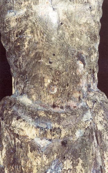 Manylyn o'r corff a'r lliain lwynau mewn golau wedi'i adlewyrchu.