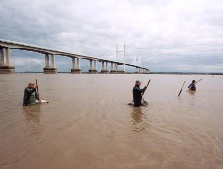 Pysgotwyr Rhwydi Lâf Y Garrreg Ddu, gerllaw'r ail bont ar draws afon Hafren. O'r chwith i'r dde: Bob Leonard, Richard Morgan a Martin Morgan.