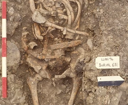 Manylyn o'r gwregysau haearn oedd am ganol y gŵr yng nghladdiad 631.