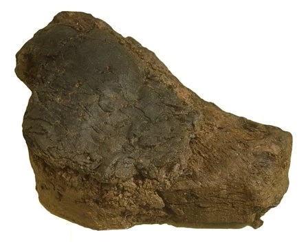 Lwmp o weolyn wedi'i ruddo y cafwyd hyd iddo'n gorwedd ar ddarn o bren.