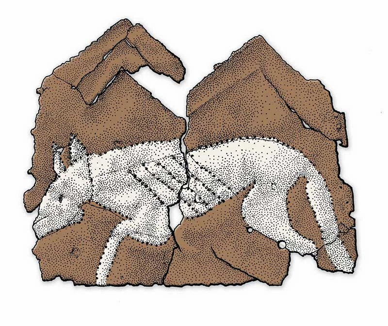 Darlun o blac offrwm gydag arlliwio ychwanegol yn amlygu amlinell ci.