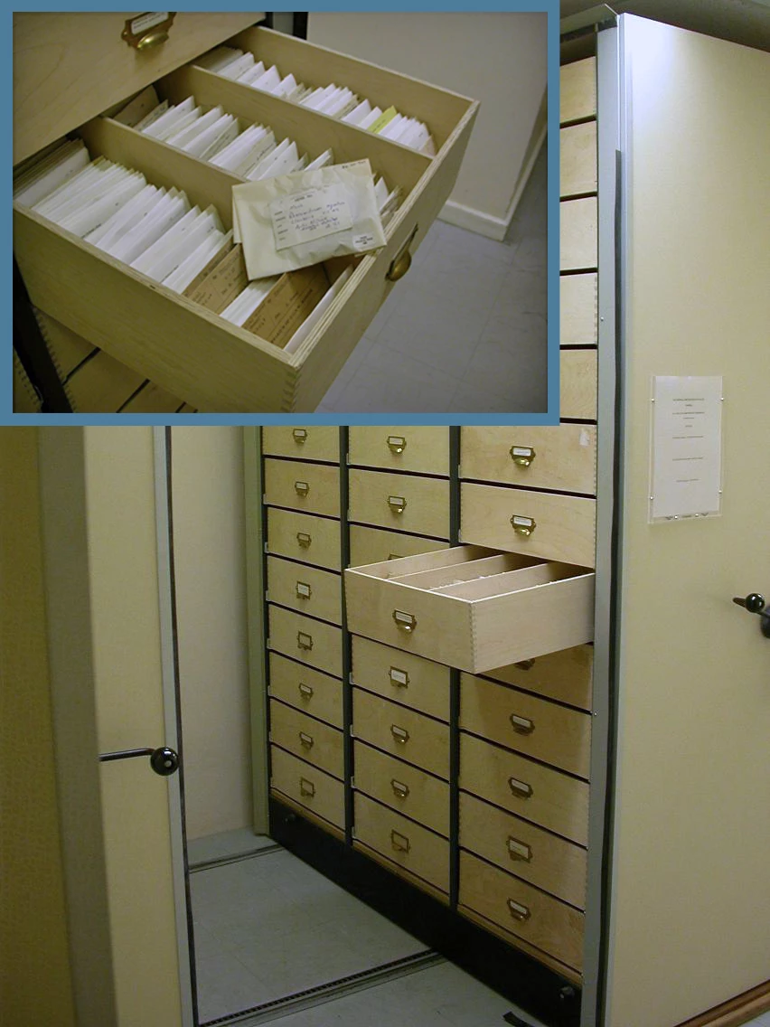 Casgliadau Amgueddfa Cymru – yn fwy byw nag y maen nhw’n ymddangos ar yr olwg gyntaf?