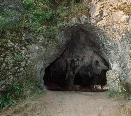 Mae gwaith cloddio a drefnwyd gan Amgueddfeydd ac Orielau Cenedlaethol Cymru wedi dangos bod pobl yn byw yn yr ogof hon tua 30,000 o flynyddoedd yn ôl ac eto tua 12,500 o flynyddoedd yn ôl.