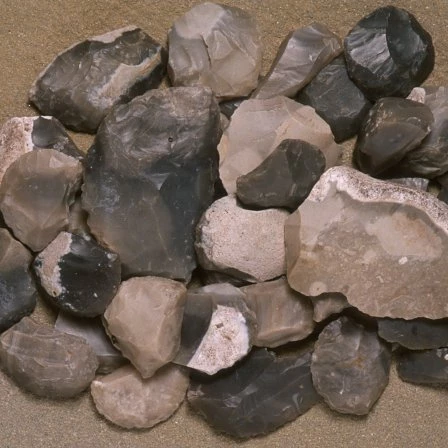 Casgliad o grafelli fflint o Garn-y-bwlch (Rhondda Cynon Taf). 