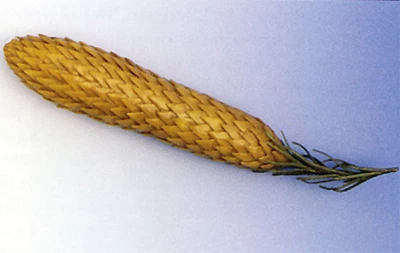 Model cŵyr o côn o gnwpfwsoglau enfawr y Cyfnod Carbonifferaidd Diweddar.