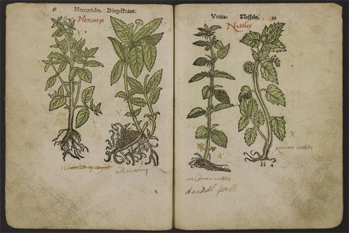 Rhan o lysieulyfr Almaenig cynnar ac arno nodiadau Cymraeg a Saesneg, a fu unwaith ym meddiant Morris Owen