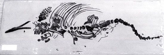 Yr ichthyosor cyn gwneud y gwaith arno (1750mm x 720 mm x 70 mm)