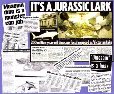 Cafodd y stori lawer o sylw gan y wasg