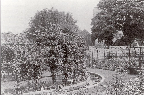 Yr Ardd Rosod ym 1902