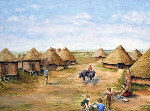 Bryngaer Moel-y-Gaer, Rhosesmor, Sir Ddinbych, 4edd ganrif CC; gan Paul Hughes, about 1980.