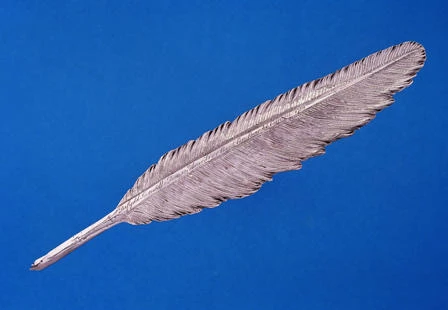 Ysgrifbin arian a roddwyd i Twm o'r Nant gan Dr David Samwell