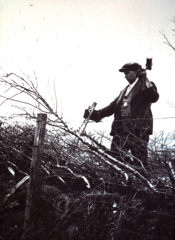 Plygu Clawdd, Pen-y-cae, Brecknockshire, c1936