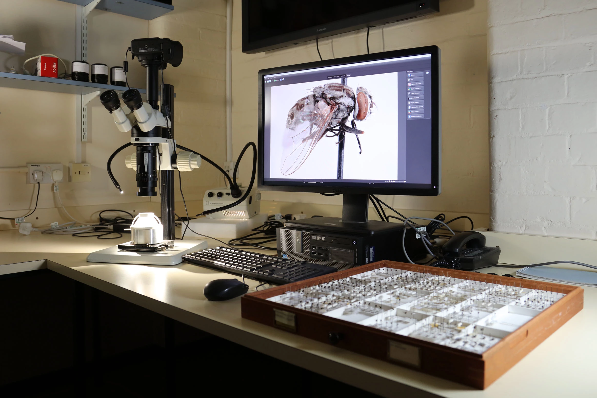 Cyfrifiadur a microsgop