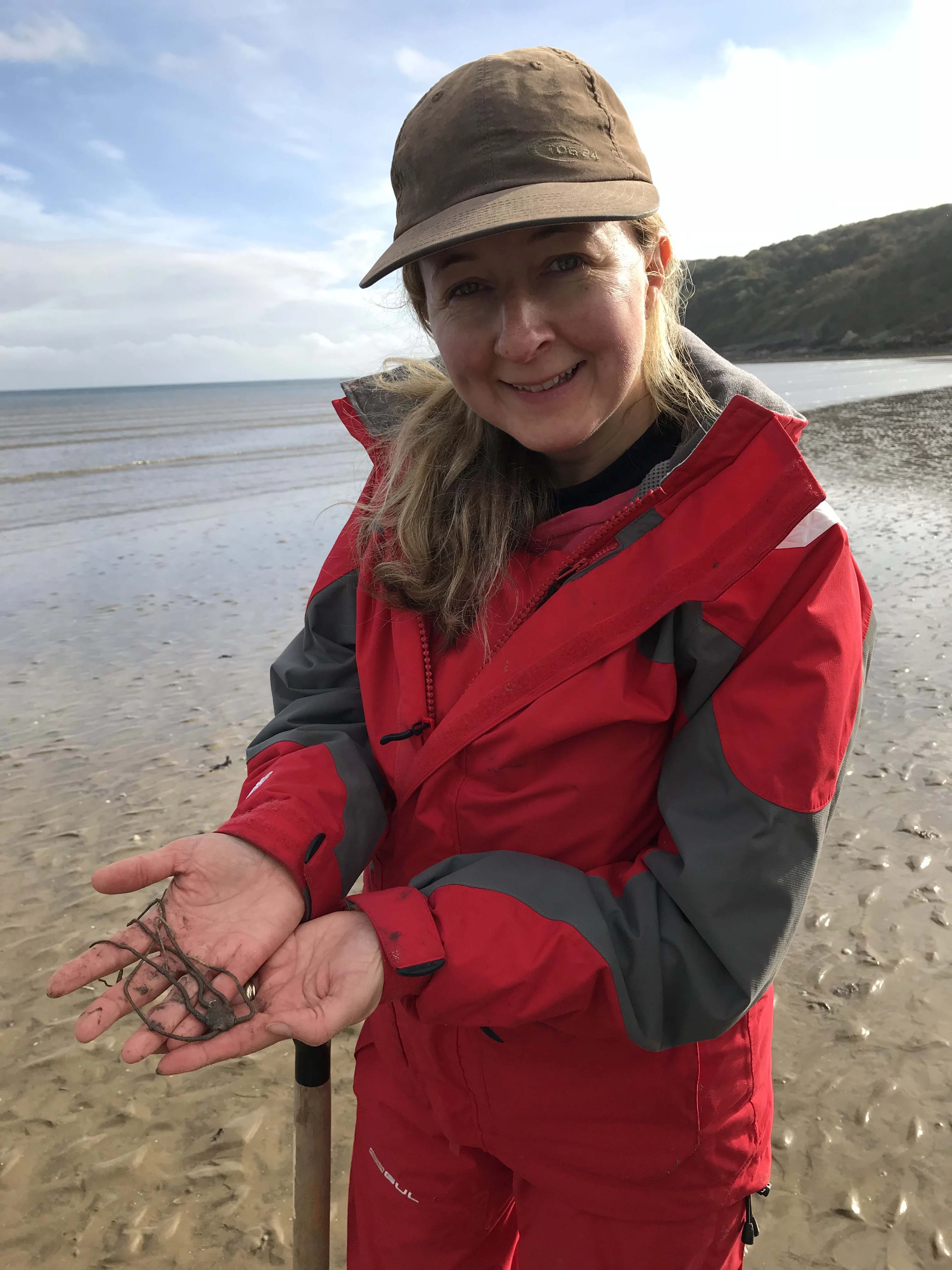 Casgliadau Molysgiaid