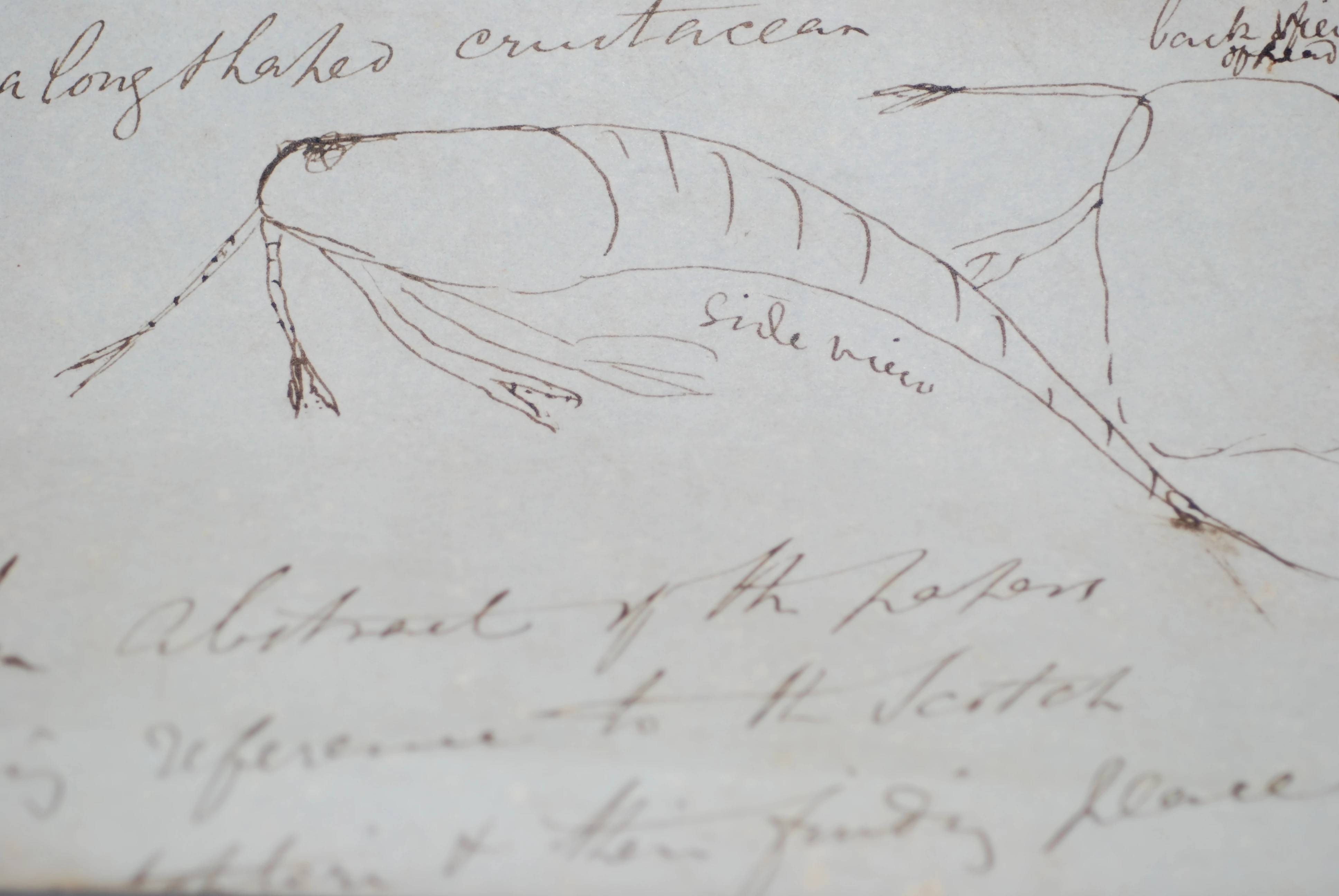 Archif Gwyddorau Naturiol