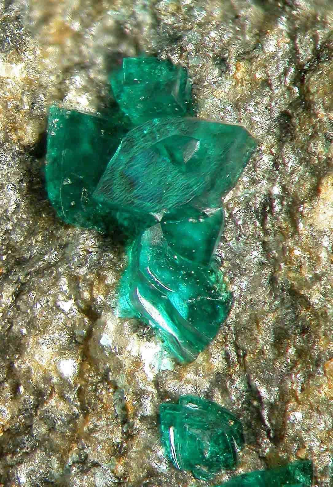 Ramsbeckite