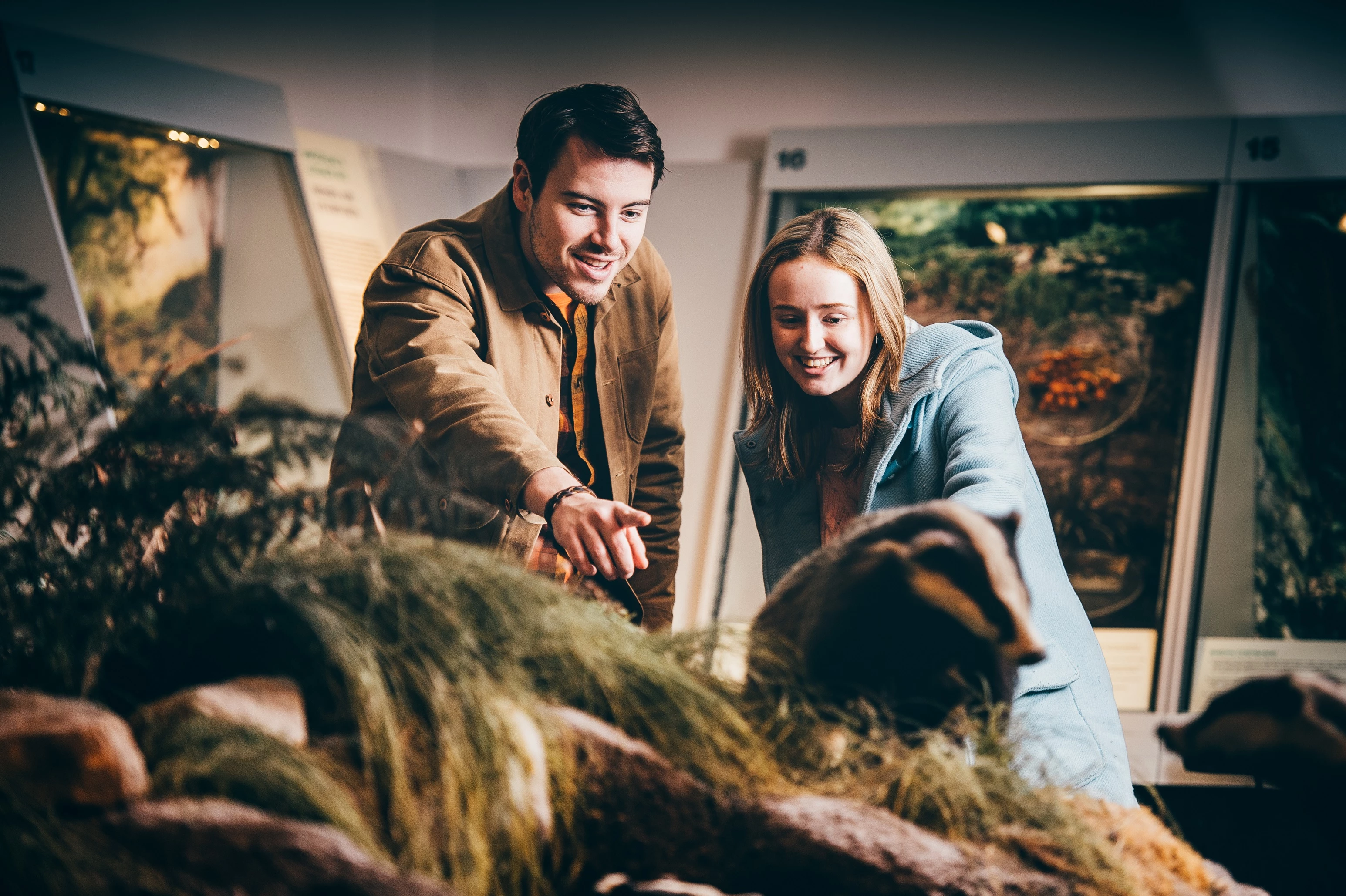 Dau person yn edrych ar arddangosfa o greaduriaid coetir