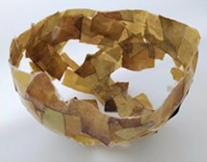 Llun o fowlen papier mache