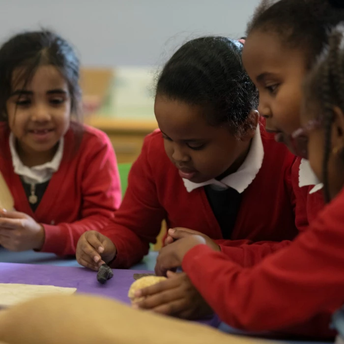 Llun o bedwar o blant ifanc yn edrych ar ffosiliau