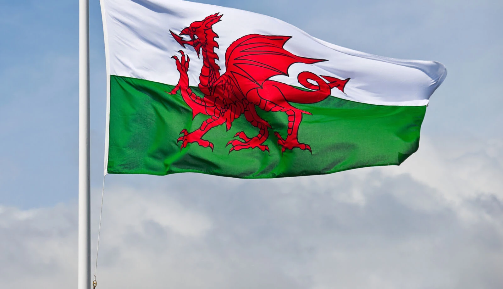 Baner Cymru, sef draig goch ar gefndir gwyrdd a gwyn, sy'n chwifio yn y gwynt ar ddiwrnod cymylog.