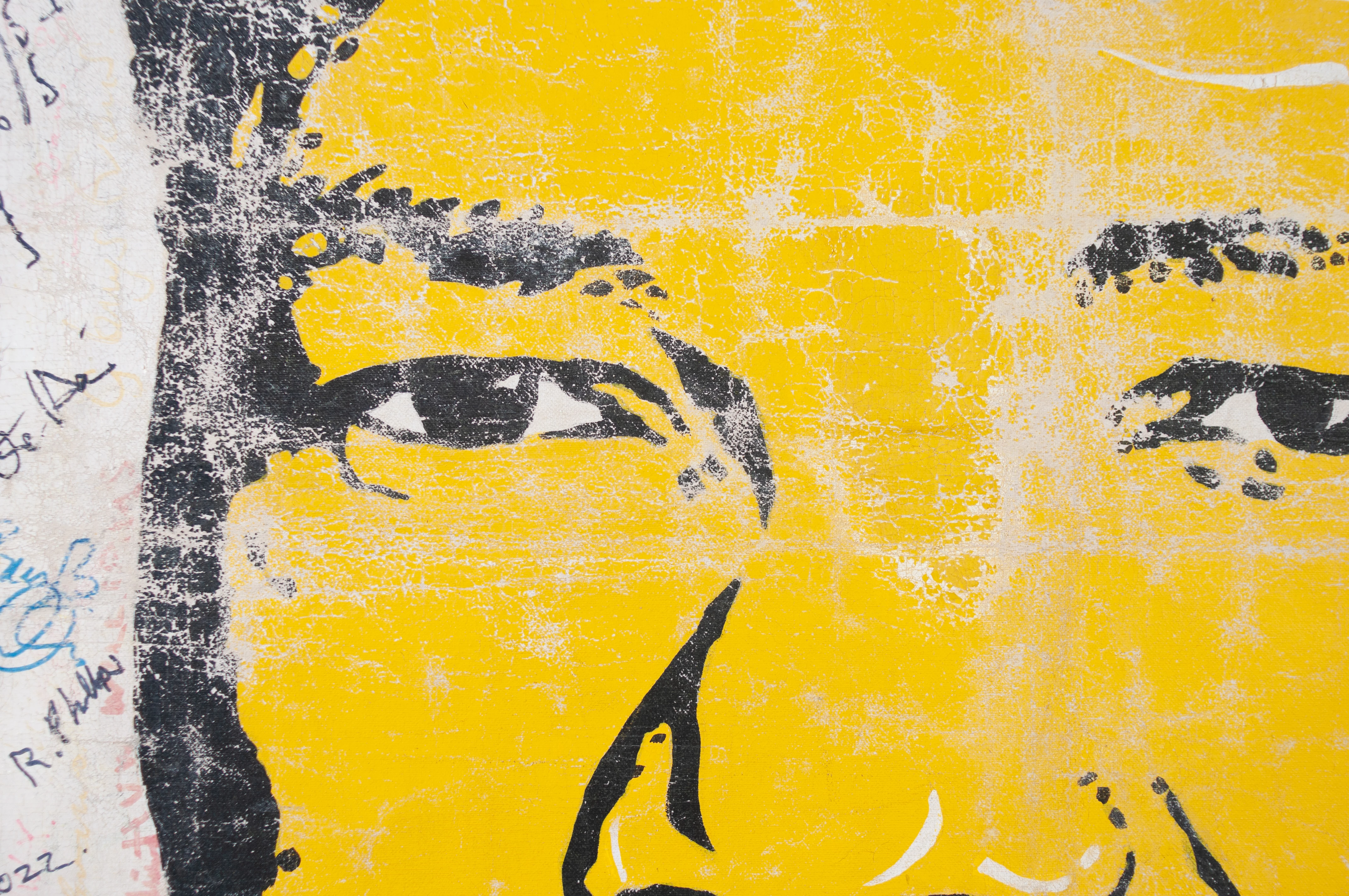 Manylion yn dangos faint o baent sy’n disgyn neu wedi diflannu