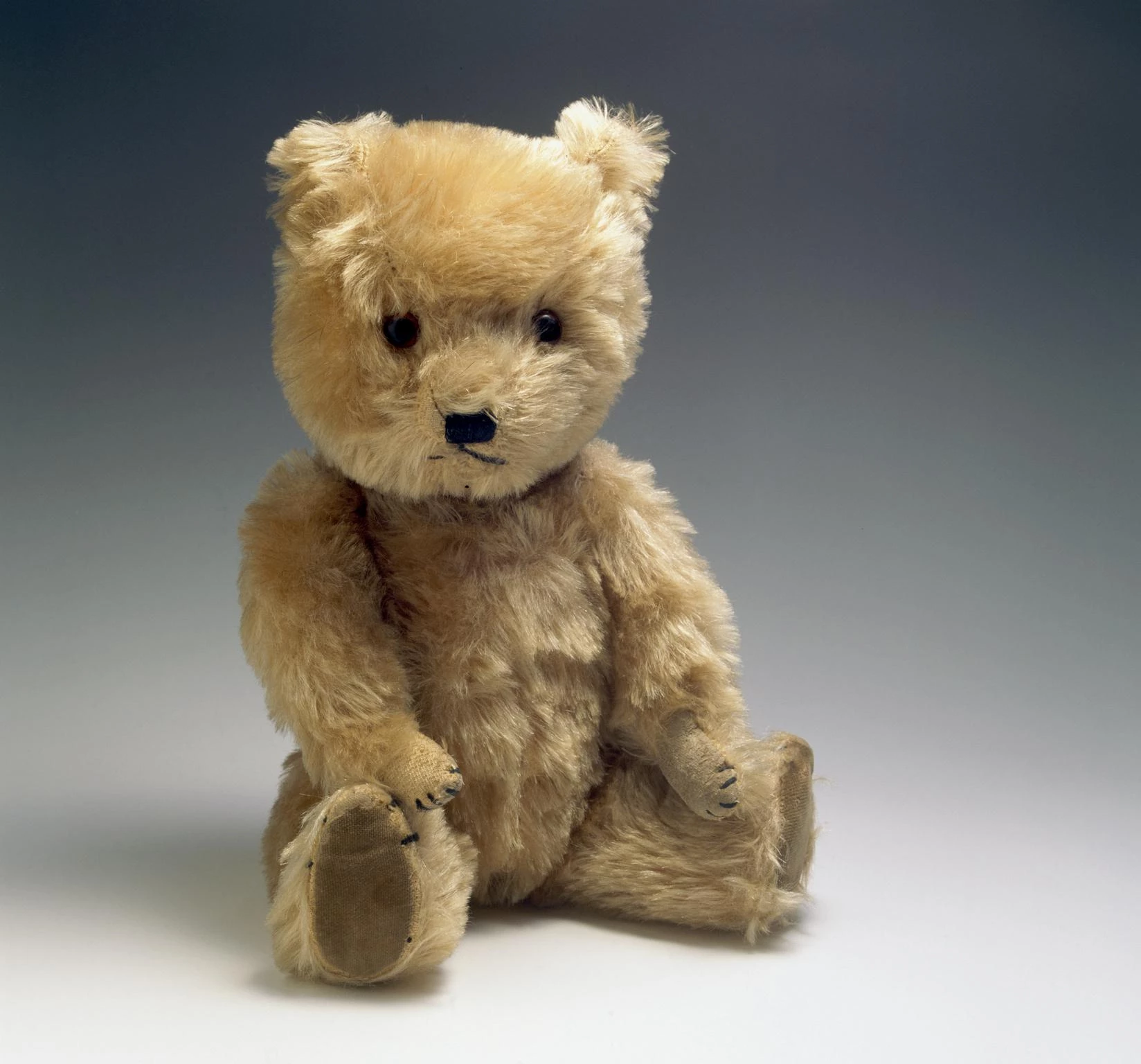 Tedi hynafol gyda ffwr brown golau sydd wedi treulio. Mae’r tedi yn eistedd yn unionsyth yn erbyn cefndir plaen sy’n newid o wyn yn y brig i lwyd tywyll 