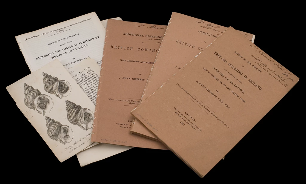 Detholiad o lyfrynnau hanesyddol, tri ohonynt gyda chloriau wedi'u gwneud â cherdyn.