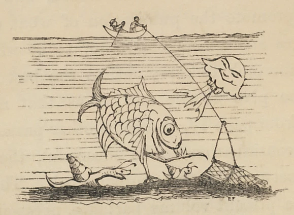 Cartŵn Fictoraidd o ddau ffigwr dynol mewn cwch sydd wedi gosod tynrwyd ar wely'r môr. Dyma'r anifeiliaid o dan y dŵr: pysgodyn mawr sy'n gwenu, dau greadur cregyn a slefren fôr.