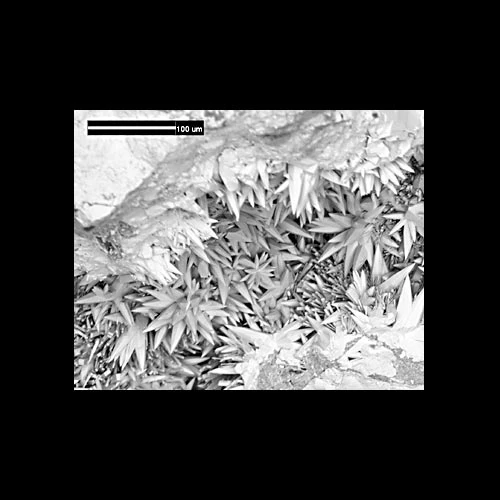 Electronmicrograff sganio o grisialau hynod brin mattheddleit