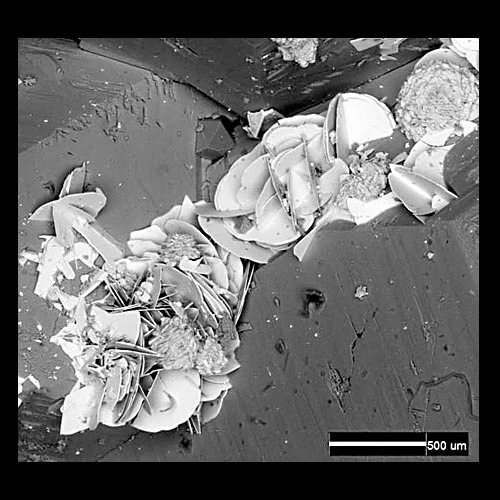 Electronmicrograff sganio o grisialau haenaidd o syncysit-(Ce)