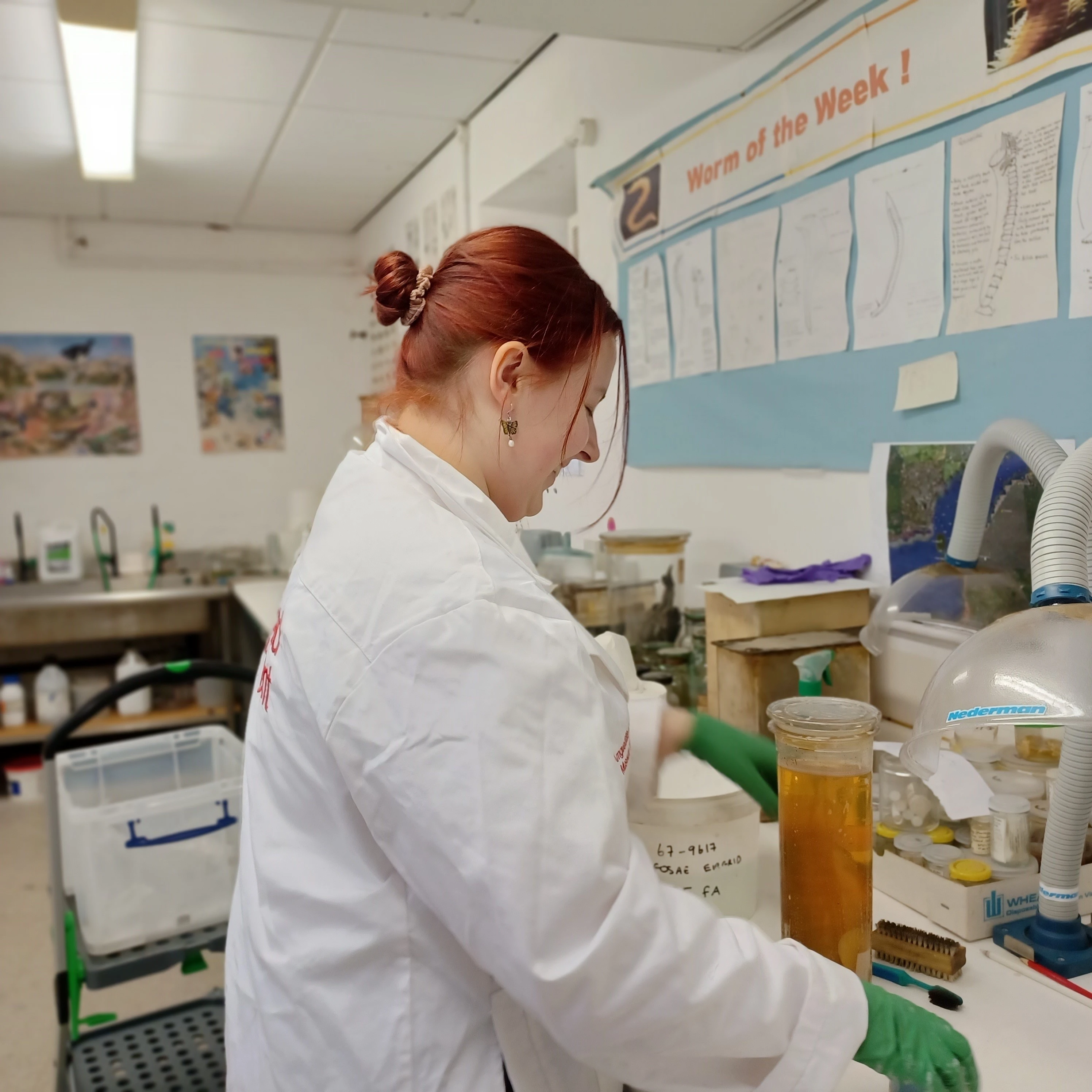 Gwirfoddolwr yn y storfa hylif 