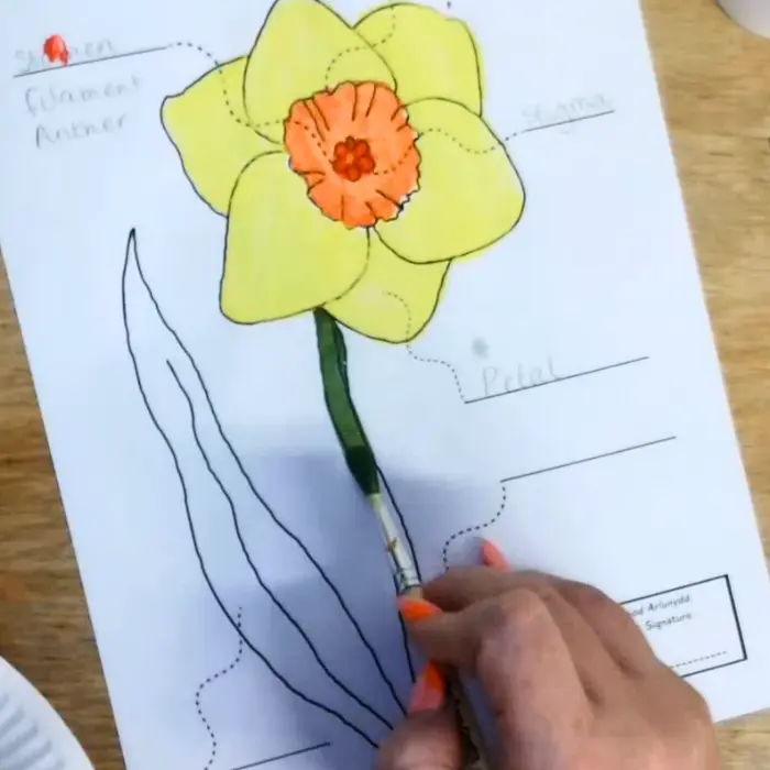 Paentio gyda'n Gilydd