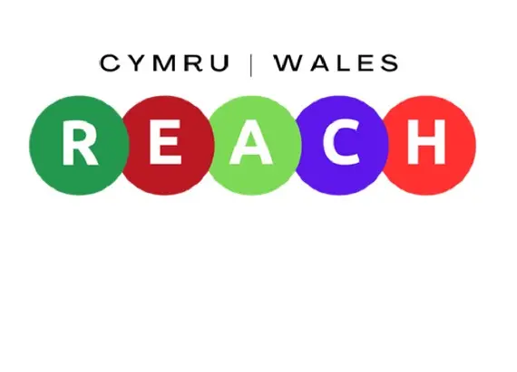 Logo REACH