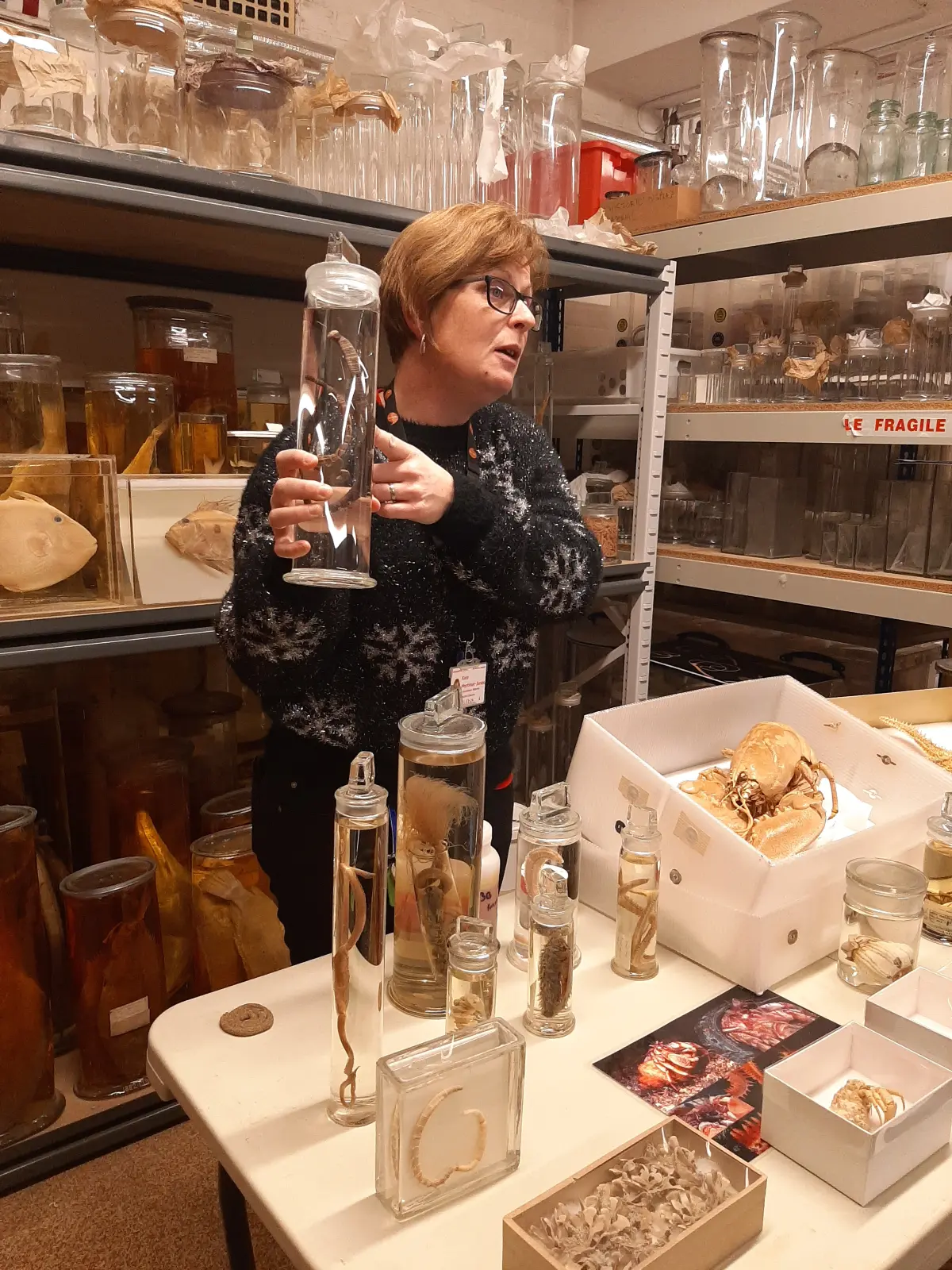 Mae dynes yn gwisgo siwmper du gyda plu eira gwyn arno, mae wedi ei hamgylchynu hefo flasgiau sydd yn cynnwys sbesiminau gwahanol, mae bwrdd llawn sbesiminau o'i blaen a mae'n dal jar hefyd