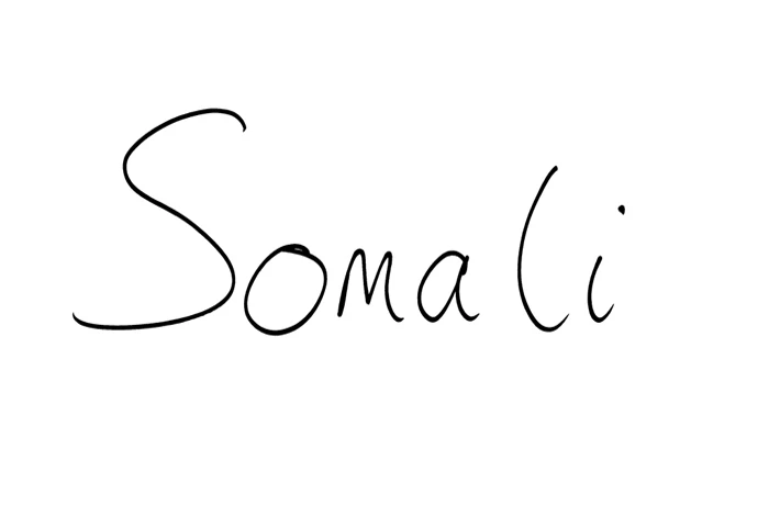 Somalieg