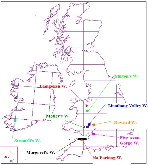 Map o ble y darganfuwyd y coed newydd 