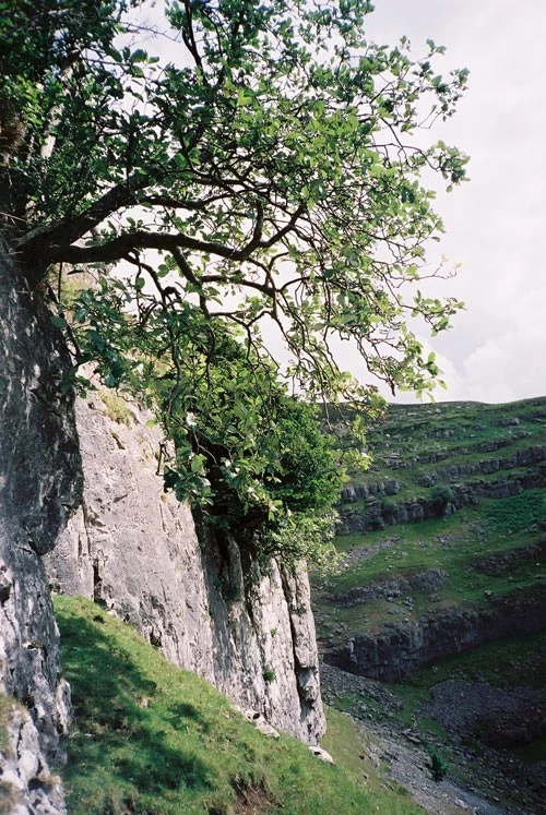 Cerddinen Llangollen