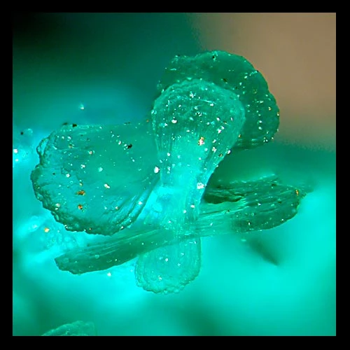 Crisialau brochantit ar ffurf dici-bô