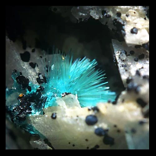 Clwstwr o grisialau defilin