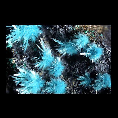 Rhosglymau o serpierit 