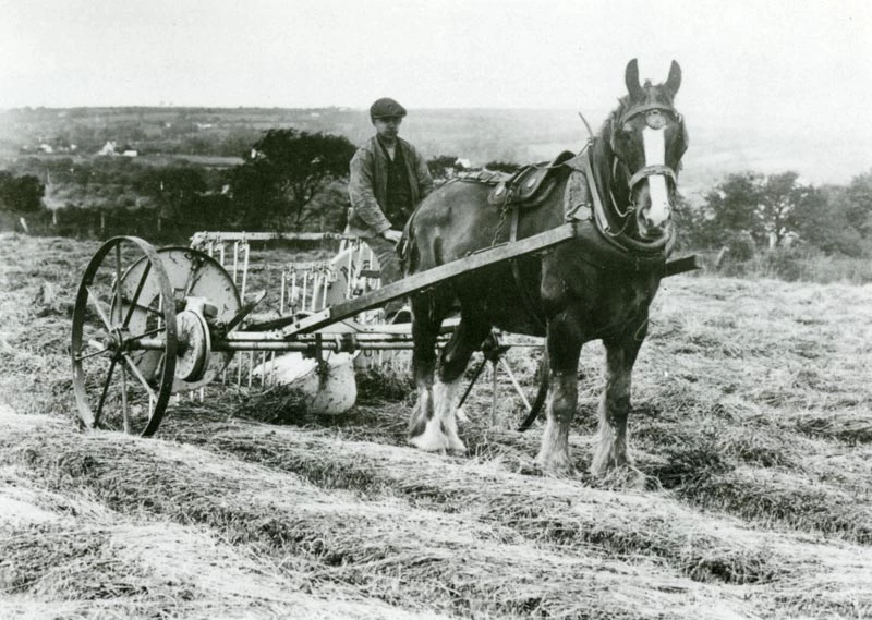 James Evans yn rhibinio gwair ar Fferm Castell Malgwyn, Llechryd