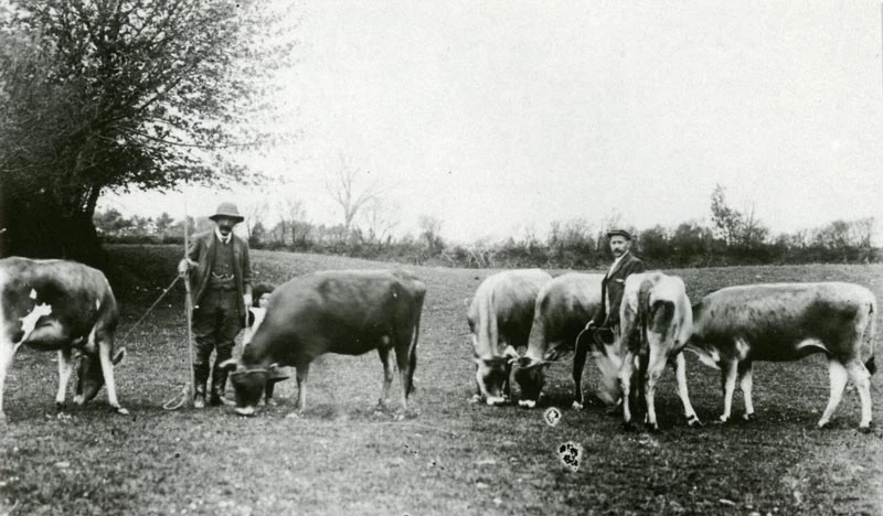 C. E. G. Morgan Richardson, Rhos-y-gilwen