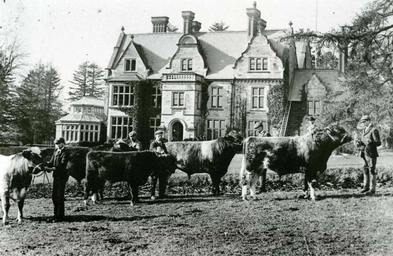 Buches Rhos-y-gilwen o flaen y plas